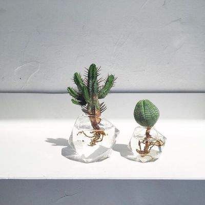 诺亚体育app下载安装手机版最新